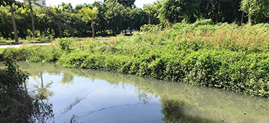 沿用城市思維？農(nóng)村黑臭水體治理“行不通”！