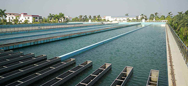 近10年 我國(guó)有哪些水廠(chǎng)實(shí)現(xiàn)了“智慧化”？